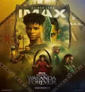 Black Panther - Wakanda Forever (2022) (Hindi + English) Dual Audio MCU Hollywood Movie BluRay HD ESub